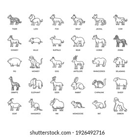 Animal , Thin Line and Pixel Perfect Icons