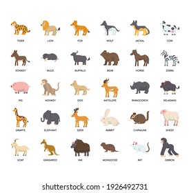 Animal , Thin Line and Pixel Perfect Icons