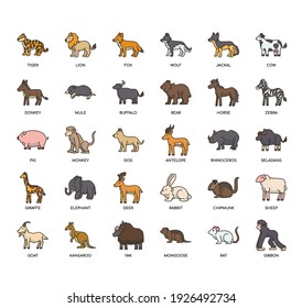 Animal , Thin Line and Pixel Perfect Icons