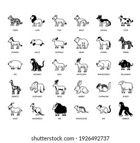 Animal , Thin Line and Pixel Perfect Icons