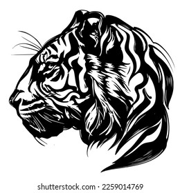 animal tiger, a large predatory cat, hand drawn vector illustration sketch