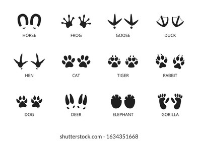 Gorilla Footprint Images, Stock Photos & Vectors | Shutterstock