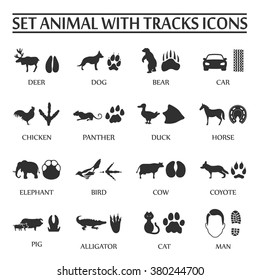 Animal Track Prints Set.