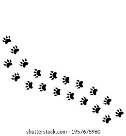 Animal tracks, footprint. Trace steps imprints isolated on white. Animal trails. Dog, tiger, bear or cat paw silhouette print. Vector flat illustration for children