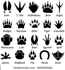 Animal Tracks Footprints Wildlife Forest Animals Dinosaur Bear Lion Elephant Badger Vector Isolated Set