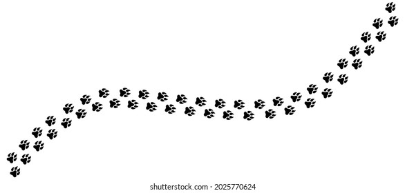 Animal tracks. Animal paw icon. Animal footprints form road, vector.