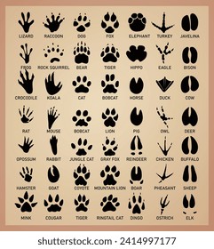 Animal Tracks Paw Print Icon Set stock illustration