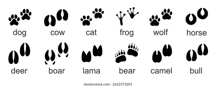Animal tracks set. Footprints paw prints isolated