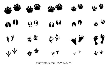 Animal tracks. Vector drawing, foot print guide.