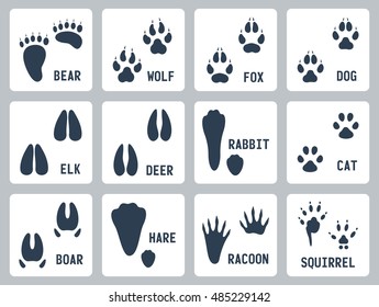 Animal tracks vector icons set