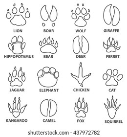 Animal trail. trace. Next to the name of the animal. Animal tracks line stile. animal paw print with the description.