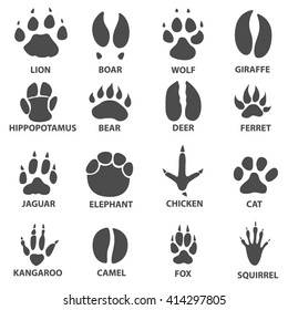 animal trails. trace. Next to the name of the animal. Animal tracks vector illustration. animal paw print with the description.