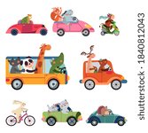 Animal transport. Fun cartoon car, cute drivers traveling. Funny bear giraffe fox driving bus, taxi truck. Childhood zoo racing vector set