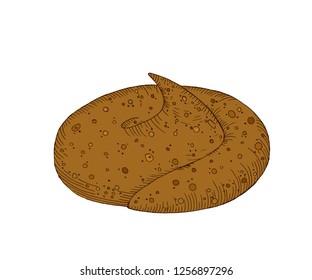 Animal turd. Stench shit. Vector illustration. Clean up after the dog.