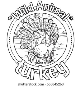 Animal Turkey Coloring Book
