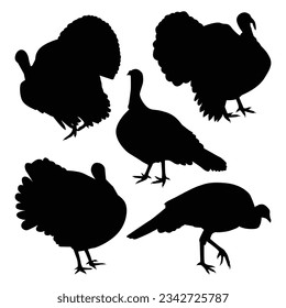 Animal turkey silhouettes Vector Collection