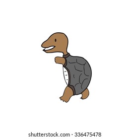 Animal turtle cartoon drawing character