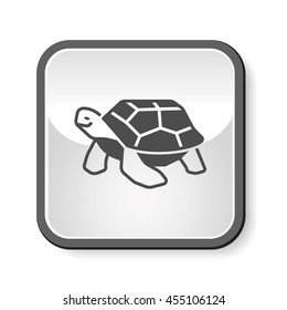 animal turtle icon