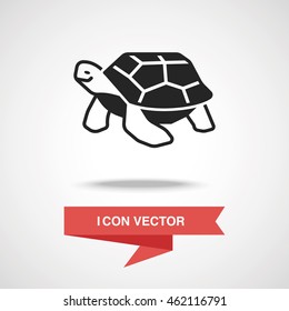 animal turtle icon