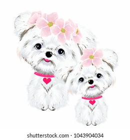 animal two dogs white Maltese with pink flowers and heart on collar background vector