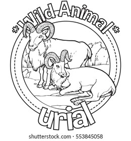 Animal Uri al Coloring Book