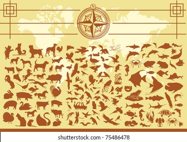 Animal Vector