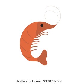 animal vector, Cute shrimp Woodland Forest Animal Vector Illustration Set Stock Illustration - Download Image Now - 
