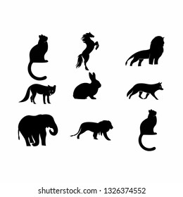 animal vector design