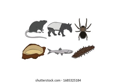 Paquete de ilustración de diseño de vectores animales