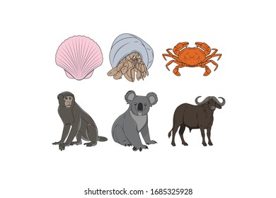 Animal Vector Design Illustration Bundle