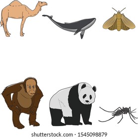 Animal Vector Flat illustration Icon Set 