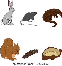 Animal Vector Flat illustration Icon Set – Vector