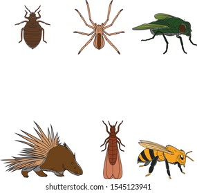 Animal Vector Flat illustration Icon Set – Vector