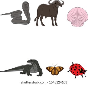 Animal Vector Flat illustration Icon Set – Vector