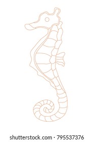 Animal vector frame orange paint on the white background