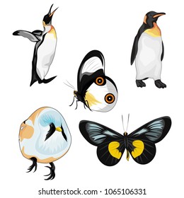 animal vector illustration