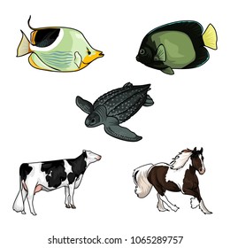 animal vector illustration