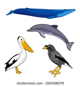 animal vector illustration