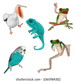 animal vector illustration