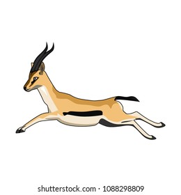 animal vector illustration