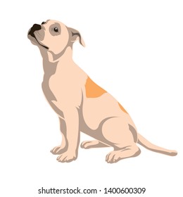 Animal vector illustration. Dog vector illustration with cartoon style