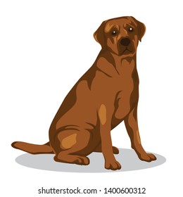 Animal vector illustration. Dog vector illustration with cartoon style