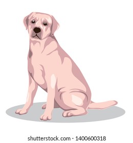 Animal vector illustration. Dog vector illustration with cartoon style