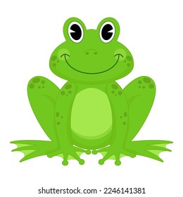 Animal vector illustration of frog