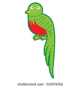 Animal vector illustration isolated on white background. Green and red quetzal bird for kindergarten, elementary school, toy store, kids clothing shop. Logotype for children brand.