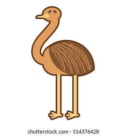 Animal vector illustration isolated on white background. Nandou ostrich for kindergarten, elementary school, toy store, kids clothing shop. Logotype for children brand.