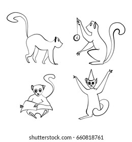 Animal, vector illustration, lemurs