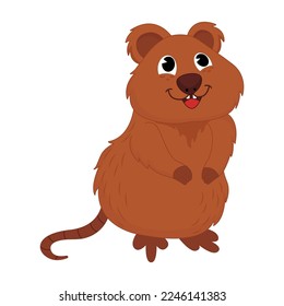Animal vector illustration of quokka