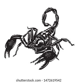 Animal, vector illustration of scorpion, black & white