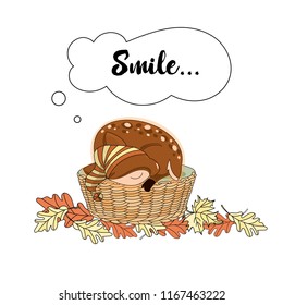 Animal Vector Illustration Set SMILING DEER for Digital Print, Holidays, Wall Art, Scrapbooking, Photo Album Design and Digital Paper